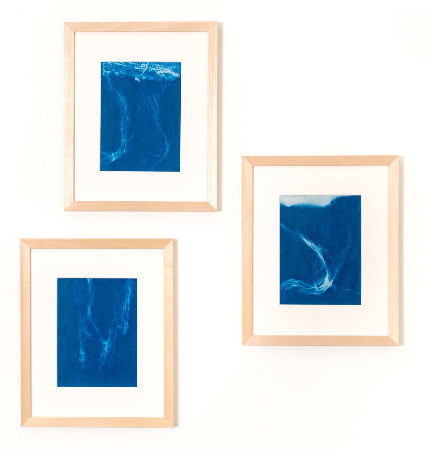 Cyanotypes (2022), Work on Paper by Claudia Hill