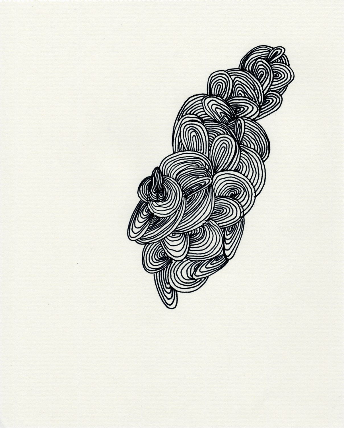 Waterfall Curls (2011), Work on Paper by Claudia Hill